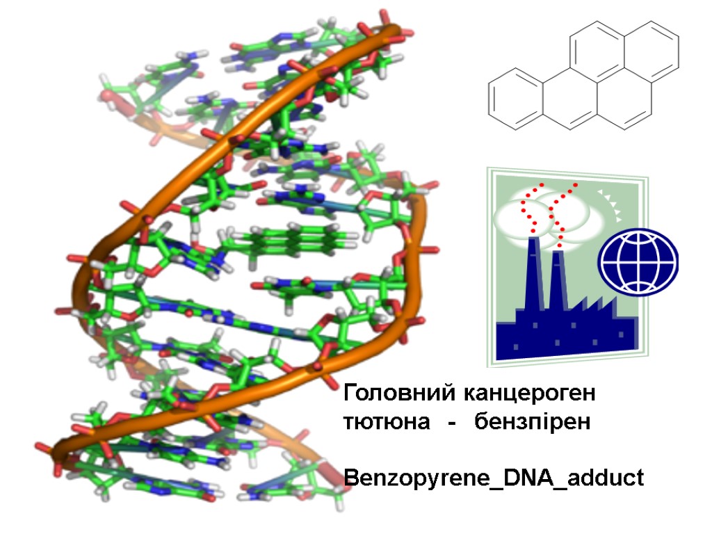 Головний канцероген тютюна - бензпірен Benzopyrene_DNA_adduct